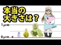 Download Lagu はたらく細胞 敵キャラを、実際の大きさで比較してみた！ Hataraku Saibou