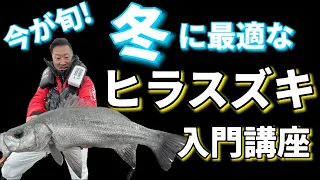 冬に始めて釣れる！シーバスアングラーの為のヒラスズキ講座！