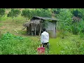 Download Lagu Goodbye to the City: A Young Man's Difficult Journey Back to His Hometown