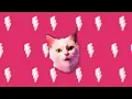ROSÉ & Bruno Mars - APT. (Cat Parody) 아파트 고양이 패러디