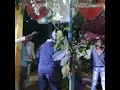 Download Lagu Nai Jano ka bimari he mola {Dj house night show}
