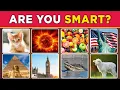 Are you smarter than a 7th grader Quiz Random Trivia