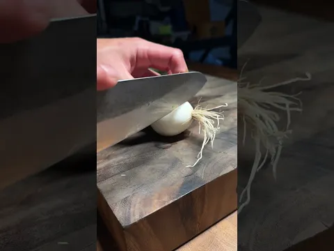 Rui “GIN” Ginsan Gyuto cutting scallion  #fyp #satisfying #kitchenknife #japaneseknife #ruiknife