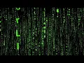 Іво Бобул & Big Lazer -Липи цвітуть