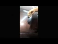Download Lagu 3M Paint Protection Film - Scratch Test