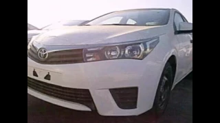 ضيقت صدري يا حمام الدار آداء عيسى الكبيسي 