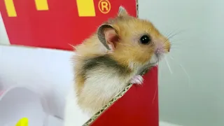  escape to lava seoeun story 09