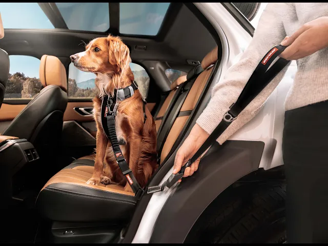 EzyDog Drive Click Leash 52cm