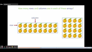 Rectangular Arrays