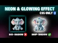 CSS Neon Glow Effect Tutorial Glowing Text Image Effect