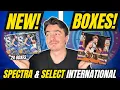 TWO GOLD AUTO S THE NEW 23-24 SPECTRA SELECT INTERNATIONAL PRODUCTS