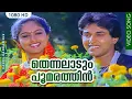 Download Lagu Thennalaadum Poomarathin | Malayalam Movie Song | K.S Chithra | Rahman | Nadiamoidu | Shankar