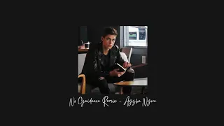 Download Ayzha Nyree - No Guidance Remix MP3