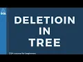Deletion in B Tree Data structure algorithms Full course