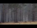 Pfizer Commercial 2026