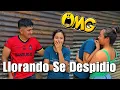 Download Lagu Dayana RENUNCIA AL CANAL, Final Inesperado