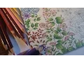 Coloring the Secret Garden Part 1