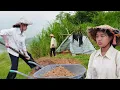 Download Lagu A Homeless Girl’s Courage to Overcome Hardship and Survive Alone | Ly Tu Mai