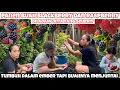 Download Lagu PANEN BLACKBERRY DAN RASPBERRY DI KEBUN BELAKANG RUMAH PULANG DARI BELANJA LANGSUNG GERCEP