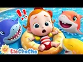 Download Lagu Baby Shark Doo Doo Doo | Baby Shark Sing and Dance + LiaChaCha Nursery Rhymes \u0026 Baby Songs