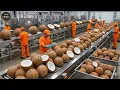Lagu Inside a Modern Coconut Factory -- From Hard Shell to Creamy Milk Full Process
