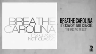 breathe carolina the birds and the bees