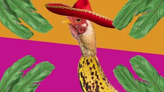POLLO BANANA