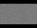 Reaction Diffusion Simulation in 4k