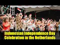 Download Lagu Indonesian Independence Day Celebration in the Netherlands