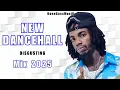 Download Lagu Latest Dancehall Mix 2025 | DISGUSTING - Alkaline, Vybz Kartel, Masicka, Skeng, Squash, M1