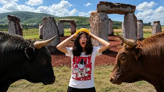 ENCUENTRO TOROS en el Cerro y ESCAPO de ellos