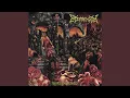 Download Lagu Detrimentum