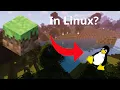 Minecraft in Linux 2023 How To