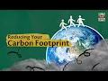 How to Reduce Your Carbon Footprint