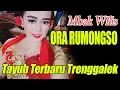 Download Lagu TAYUB ORA RUMONGSO VOC. MBAK WILIS - LANGEN TAYUB TEROB TRENGGALEK