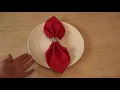 Napkin Fold With A Ring Idea