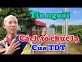 Download Lagu TIN NGUỘI! CÁCH TỔ CHỨC LẠ CỦA TĐT.