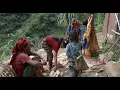 Download Lagu How villagers collect their collect crops || Village life
