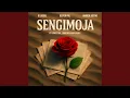 Download Lagu Sengimoja