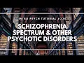 Schizophrenia Spectrum Other Psychotic Disorders Intro Psych Tutorial
