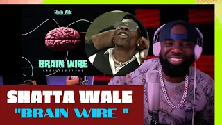 shatta wale brain wire audio slide reaction 