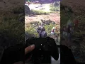 Download Lagu Razer raiju controller left stick not working right