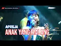 Download Lagu ANAK YANG MALANG || APRILIA (LIVE MUSIC OFFICIAL) DIAN PRIMA