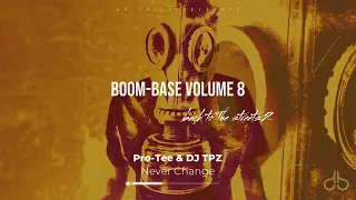 pro tee u0026 dj tpz never change original mix 
