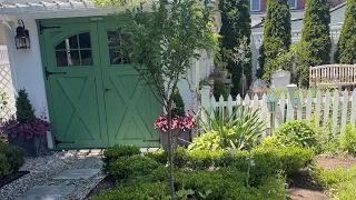 june garden and major boxwood updates