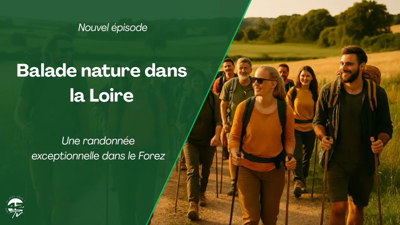 ⁣Au cœur des étangs du Forez : une randonnée entre nature et convivialité