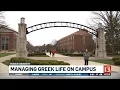Managing Greek life on campus