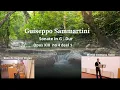 Download Lagu Guiseppe Sammartini- Sonate in G- Dur Opus XIII no4 deel 1- Marije Clemens Hobo