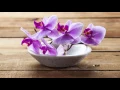 1 HOUR Thai Spa Music for Oriental Massage | Sound of Thailand