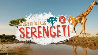 a day in the life of serengeti animals serengeti ii bbc earth kids